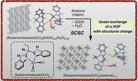 基于双（苯并咪唑）zncl2 配合物的氢键有机骨架的合成、结构表征和客体交换性能 Inorganic Chemistry X Mol