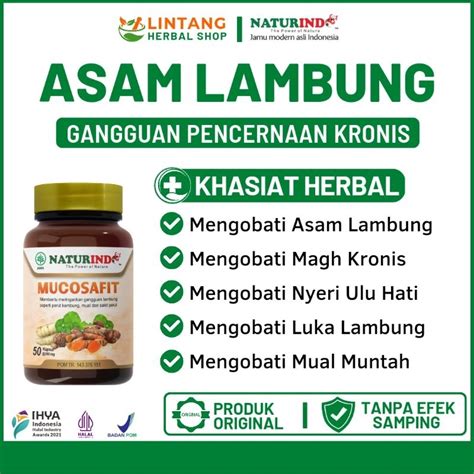 Jual Obat Asam Lambung Kronis Herbal Ampuh Magh Maag Gerd Mucosafit