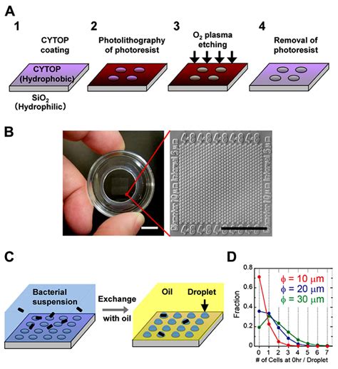 Frontiers Design Of A Large Scale Femtoliter Droplet Array For Single