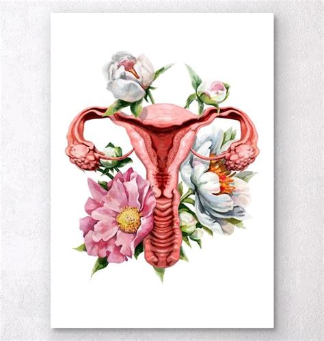 Uterus Anatomy Arte Do Corpo Humano Arte Da Gravidez Ilustrações