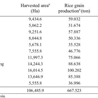 Harvested area, rice grain production and rice bran production in... | Download Scientific Diagram