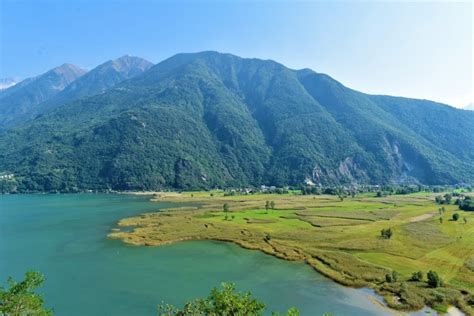 Pian Di Spagna E Lago Di Mezzola Come Raggiungere E Visitare La Riserva