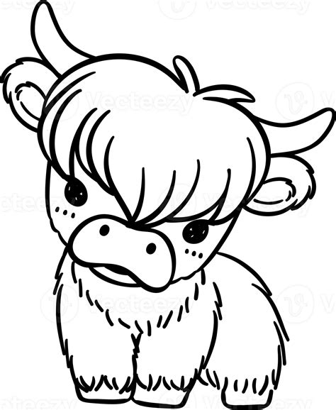 Baby Cow Highland Outline 33001529 Png