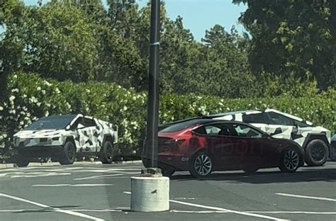 Cybertruck Wrapped In Urban Camo Spotted More Photos And Video Added