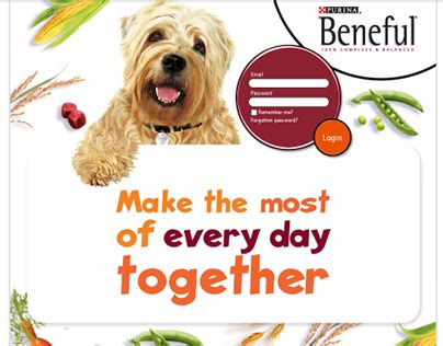 Purina Nestle Projects Photos Videos Logos Illustrations And