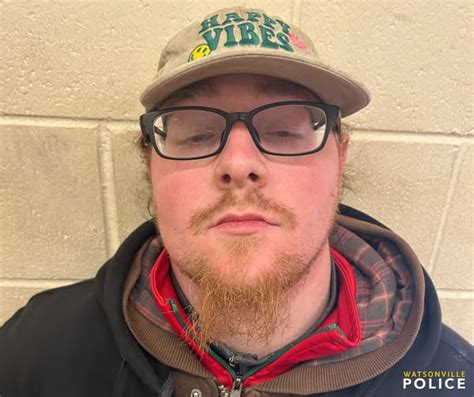 Sex Offender Arrested For Assaulting Teenager In Watsonville