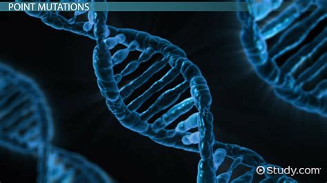 Silent Mutation | Definition & Examples - Lesson | Study.com