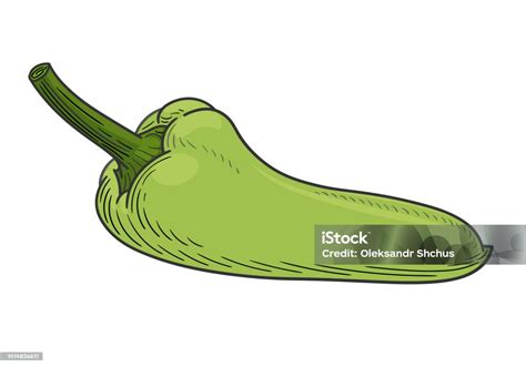 Linear Hand Drawing Of Long Slims Green Bell Pepper Vector Illustration ...