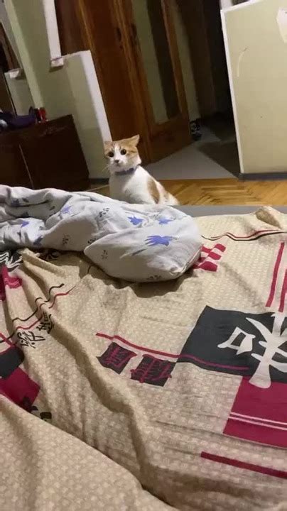 I M Fast As Fuck Boi Meme By H Ppyp LLs Memedroid