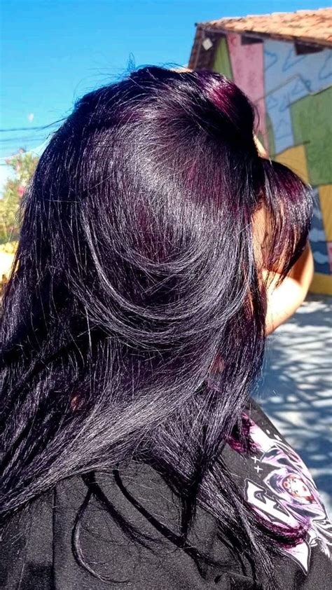 Violeta Genciana Cabelo Preto - Amend 0.8 violeta | Violeta genciana em cabelo preto, Roxo meia noite ...