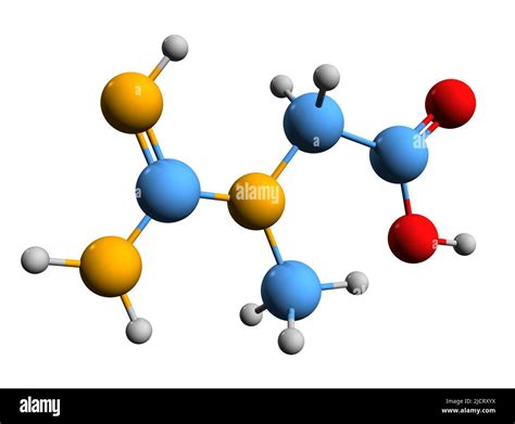 D Image Of Creatine Skeletal Formula Molecular Chemical Structure Of