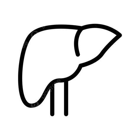 Hepatology Liver Medical Simple Vector Liver Medical Simple Png And