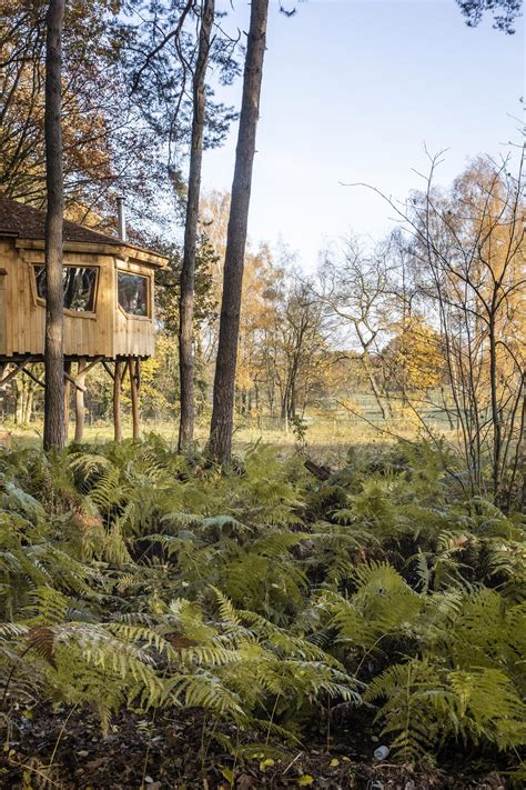 Overnachten Bij Warredal Bijzondere Accommodaties In De Bossen