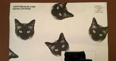 Cards Against Humanity Pussy Pack Board Game BoardGameGeek