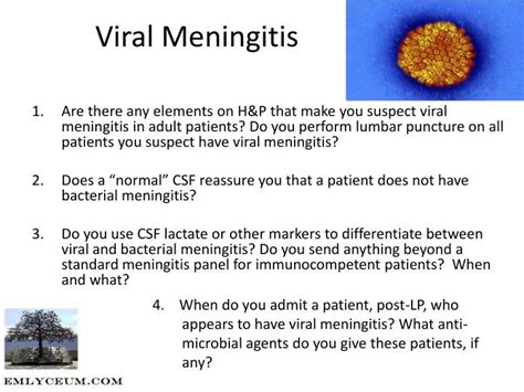 PPT - Viral Meningitis PowerPoint Presentation, free download - ID:2686365