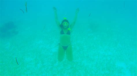 Snorkel The Keys Snorkeling Grecian Rocks Key Largo Dry Snorkel