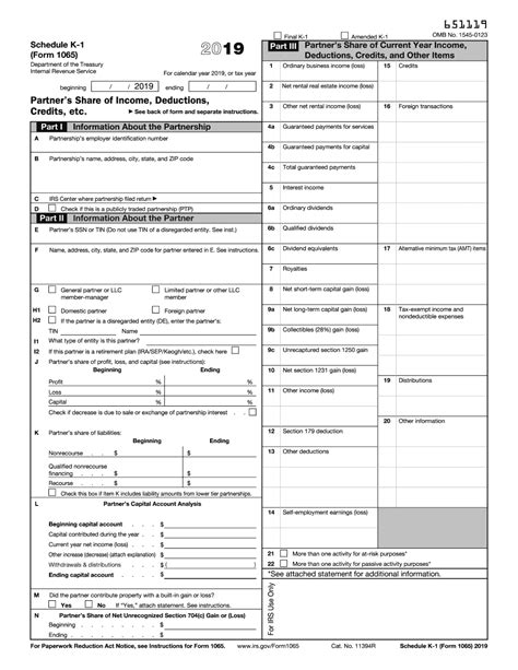 IRS Form 1065 (Schedule K-1) 2019 - Fill out and Edit Online PDF Template