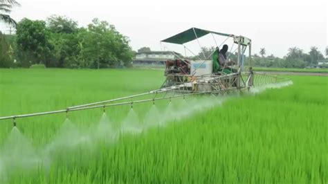 Precision Agriculture For Rice Production In Thailand Fftc