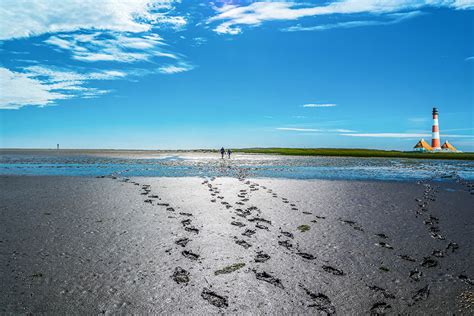 Wattenmeer: Nationalparks & Weltnaturerbe in der Nordsee