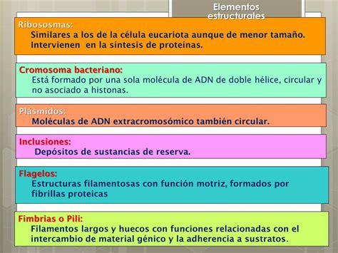 PDF MICROBIOLOGIA I Microred Files Wordpress Dos Grandes