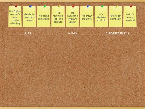 What does the ´S mean in these sentences? - Categorize