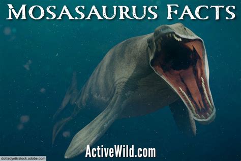 Jurassic World Facts Mosasaurus Code