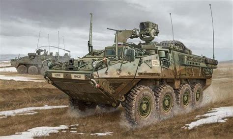 M1127 Stryker Reconnaissance Vehicle Bol