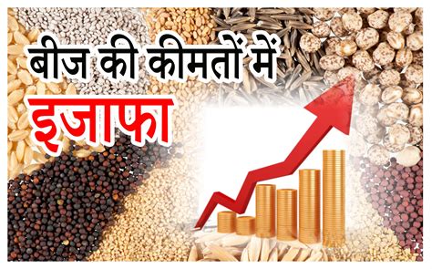 Beej Price List खाद के बाद बीज हुआ महंगा यहां देखें नई रेट लिस्ट Beej Price List Seeds