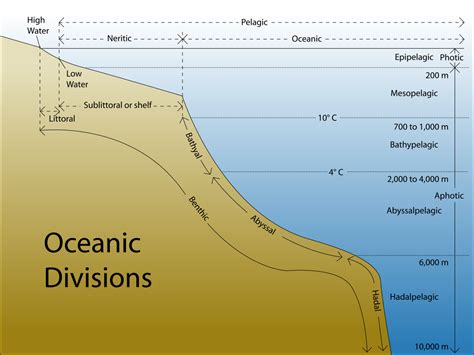 File Oceanic Divisions Svg New World Encyclopedia