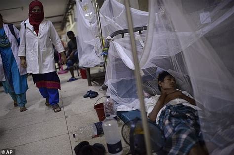 More Than 1000 People In Bangladesh Have Caught Dengue Fever In The