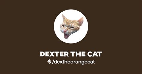 Dexter The Cat Instagram Facebook Tiktok Linktree