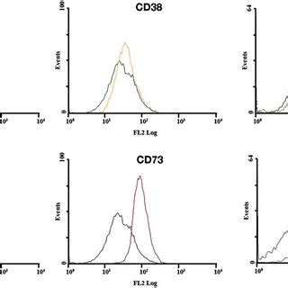 Flow Cytometric Analysis Of Surface Marker Expression To Characterize