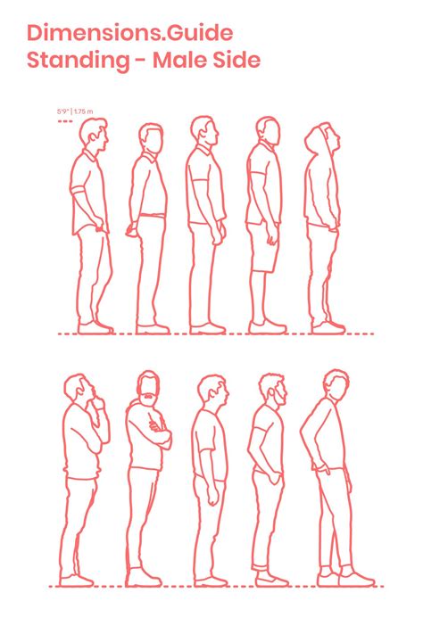 Standing Male Side Drawing People Drawing Poses Drawing Reference