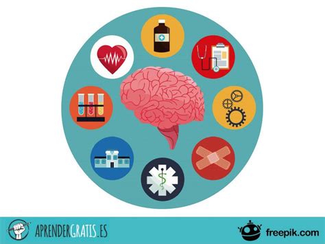 Curso Sobre El Efecto De Los T Xicos En El Sistema Nervioso