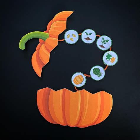 Life Cycle Of A Pumpkin Activities