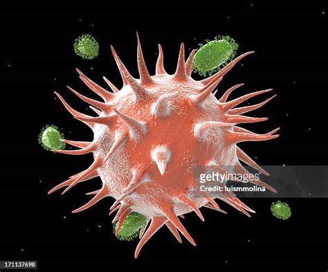 Flu Virus Microscope Photos and Premium High Res Pictures - Getty Images