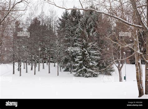 Beautiful winter snow landscape in Finland Stock Photo - Alamy