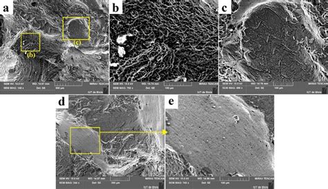 SEM Observations Of The Fracture Surface For A5 Sample A B And C