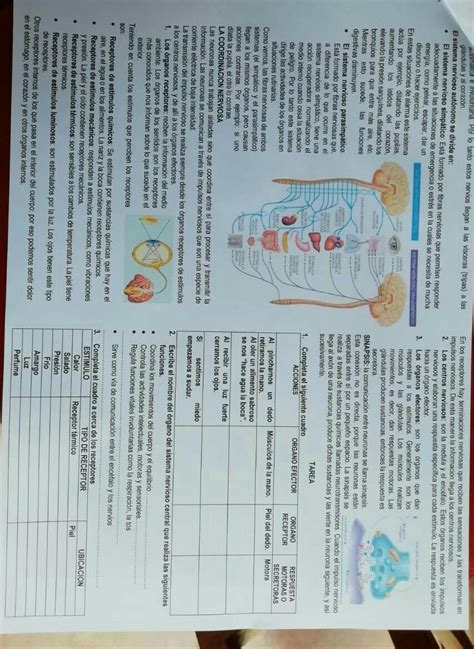 ayuda xfa la de la tarea es para hoy xfa se les dará 60 puntos xfa