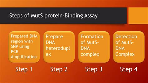 SNP Detection Methods and applications | PPT