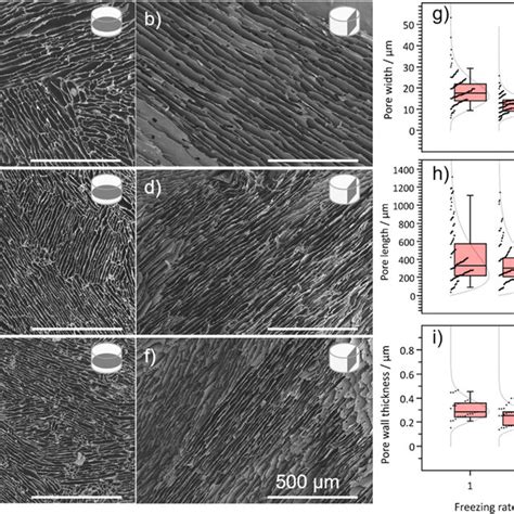 SEM Imaging And Pore Morphology Characterization Of Pectin Foams A F