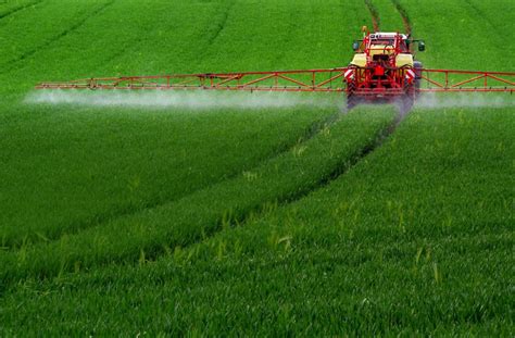 Herbizid im Obst und im Gemüse Glyphosat Wie stark ist Obst belastet