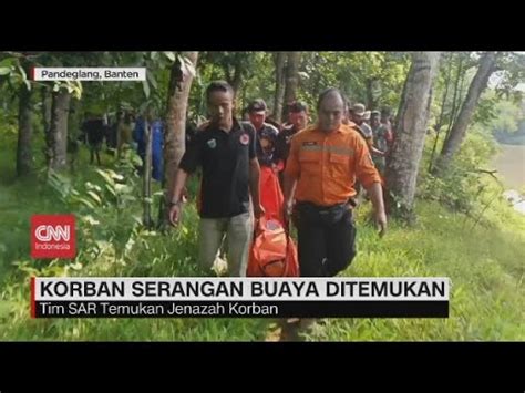 Korban Serangan Buaya Di Pandeglang Ditemukan YouTube