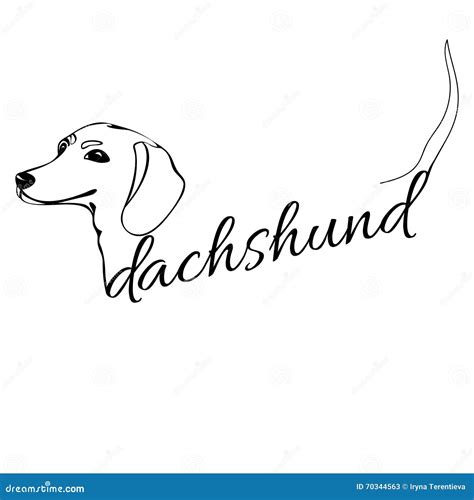 Dachshund Dog Head Stock Vector Illustration Of Color 70344563