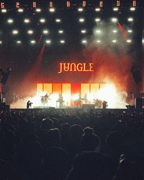 Jungle At Tecate Live Out