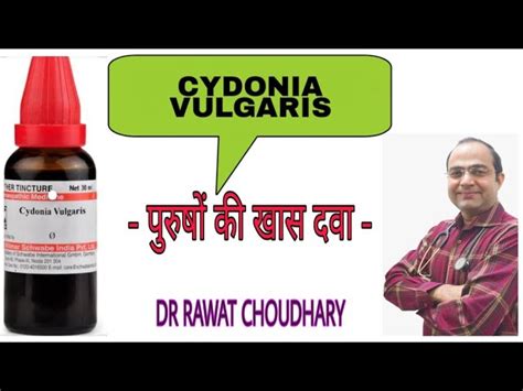 Cydonia Vulgaris 30 Ch Benefits In Hindi Andre