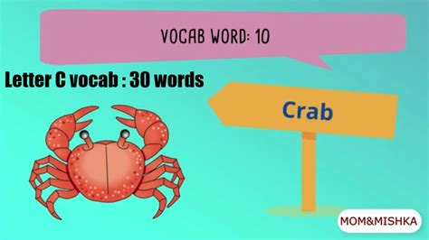 Letter C Vocabulary Words Words That Start With C Vocabulary 30