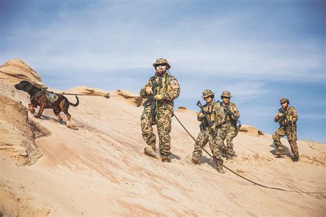 Desert Camo Army Top Defense Systems