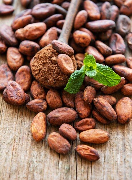 Premium Photo Raw Cacao Beans And Cocoa Powder