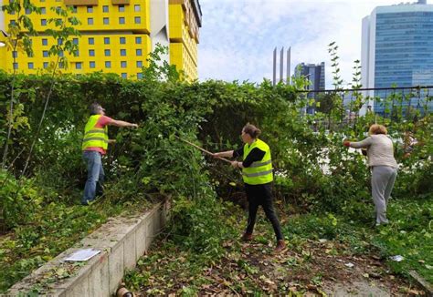 Urban ecology - Cleanliness of the headquarters environment (Sarajevo ...